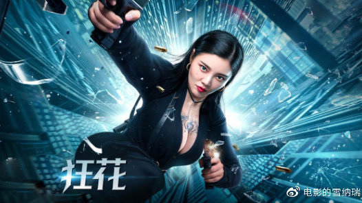 科西嘉大学文凭
